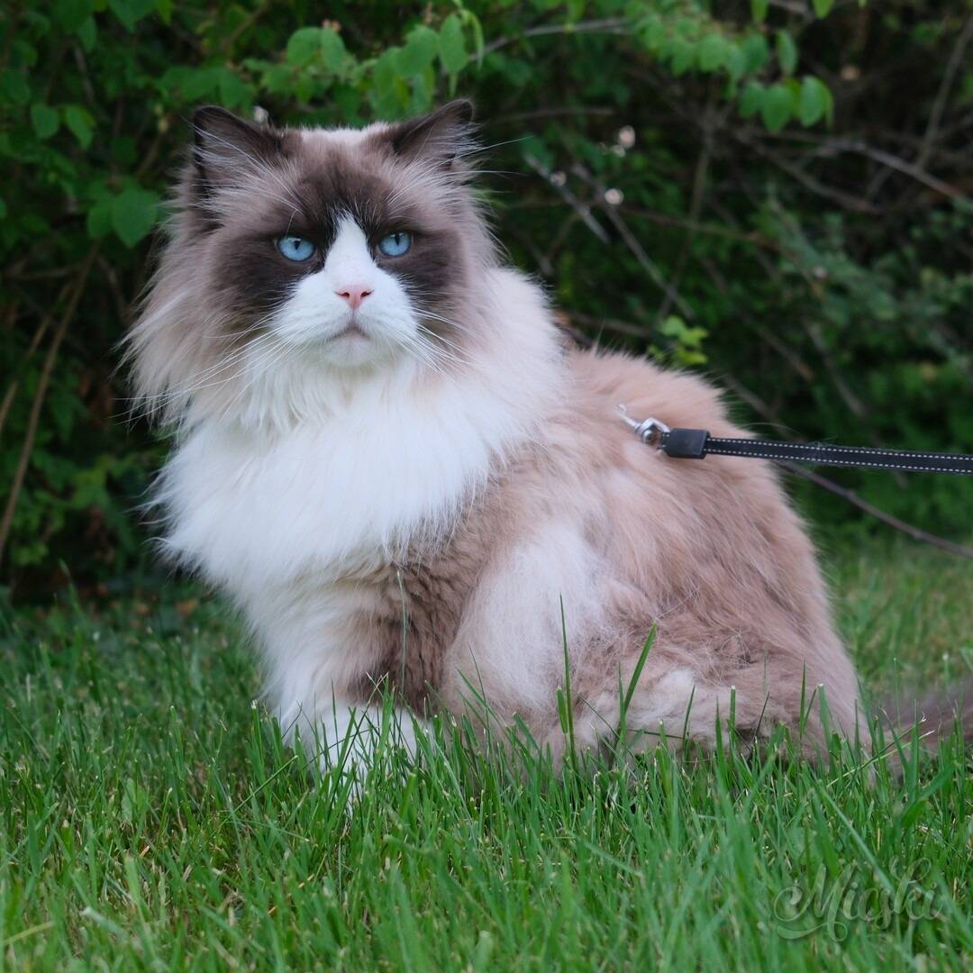 grumpy pose 3.jpg